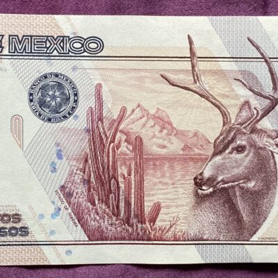 Mexico.100NuevosPesos.1992