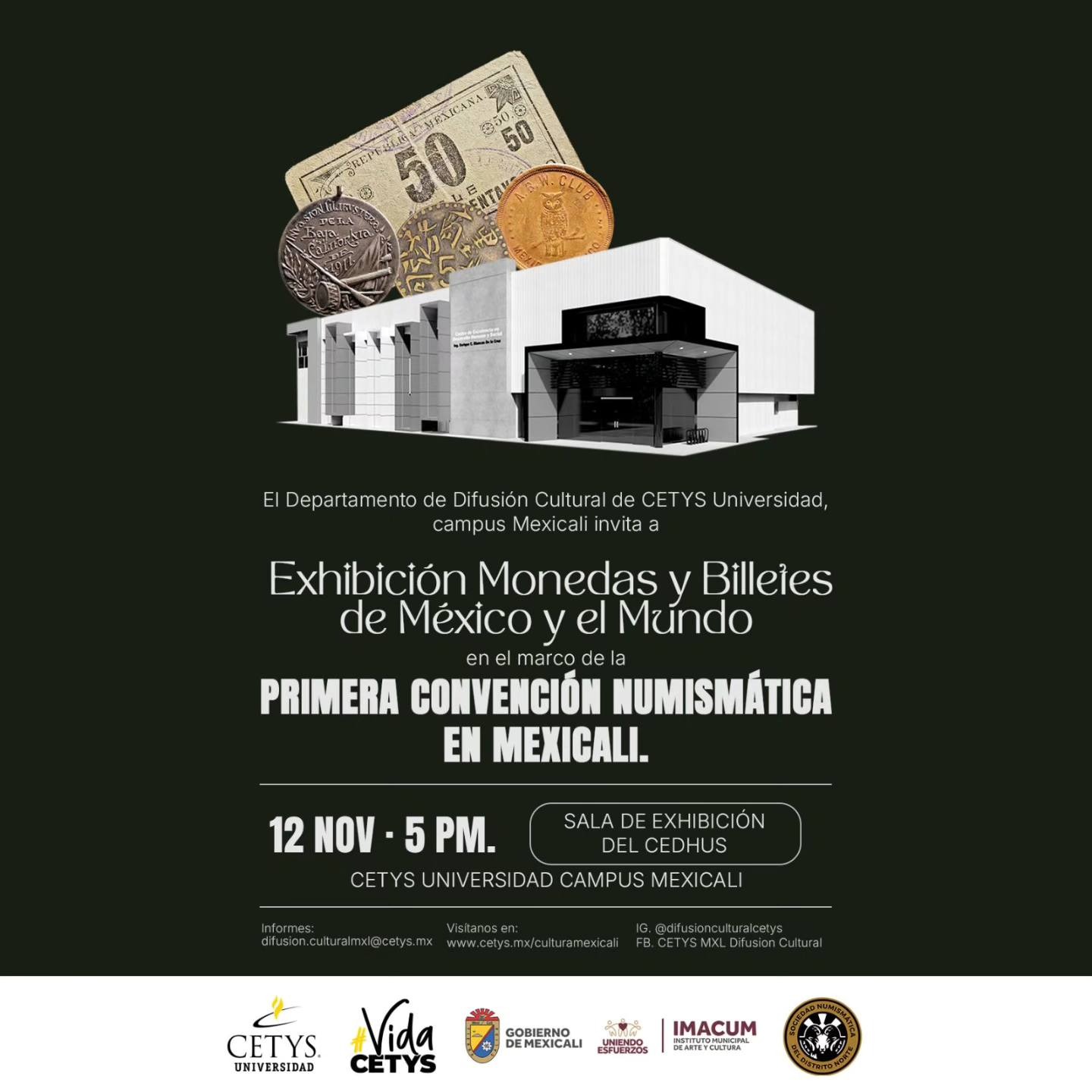 imgi_50_571009628_122130888140962483_8935659838871561965_n