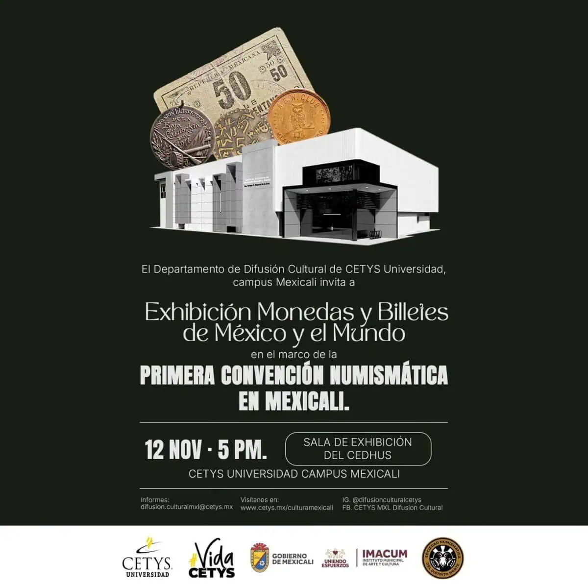 imgi_50_571009628_122130888140962483_8935659838871561965_n